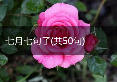 七月七句子(共50句)