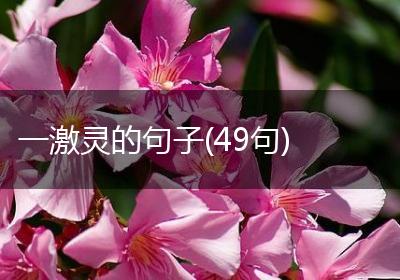 一激灵的句子(49句)