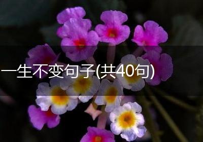 一生不变句子(共40句)