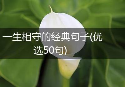 一生相守的经典句子(优选50句)