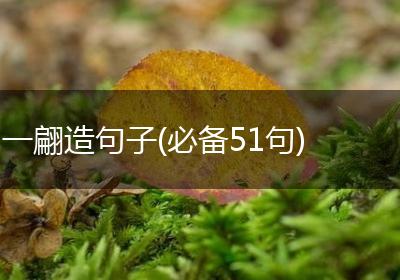 一翩造句子(必备51句)