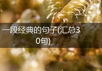 一段经典的句子(汇总30句)