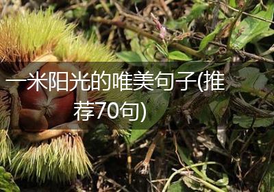 一米阳光的唯美句子(推荐70句)