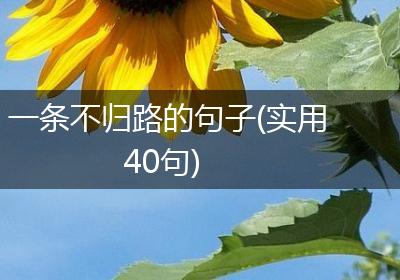 一条不归路的句子(实用40句)