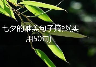 七夕的唯美句子摘抄(实用50句)