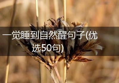 一觉睡到自然醒句子(优选50句)
