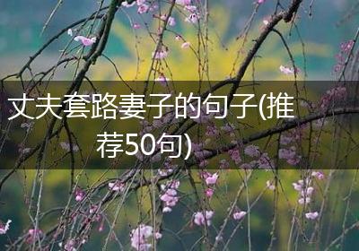 丈夫套路妻子的句子(推荐50句)