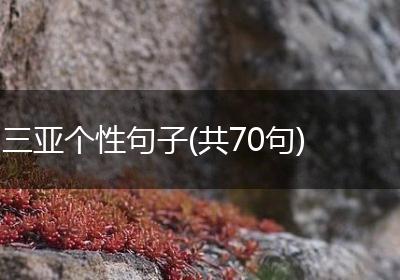 三亚个性句子(共70句)