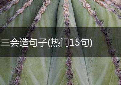 三会造句子(热门15句)