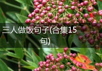 三人做饭句子(合集15句)