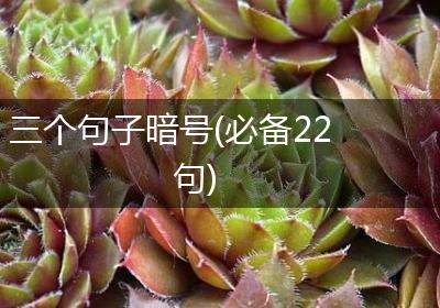 三个句子暗号(必备22句)