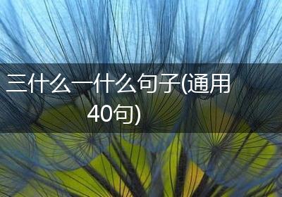 三什么一什么句子(通用40句)