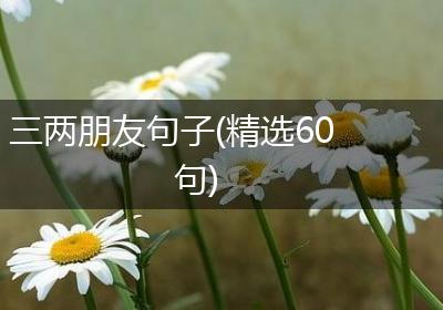 三两朋友句子(精选60句)