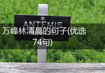 万峰林清晨的句子(优选74句)