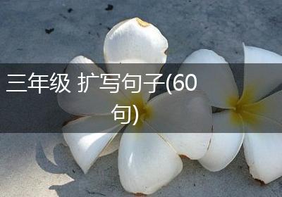 三年级 扩写句子(60句)