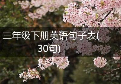 三年级下册英语句子表(30句)