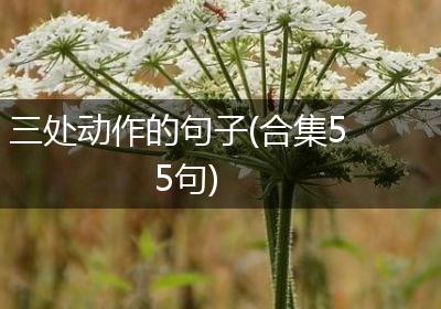 三处动作的句子(合集55句)
