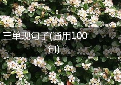 三单现句子(通用100句)