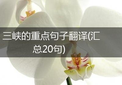 三峡的重点句子翻译(汇总20句)