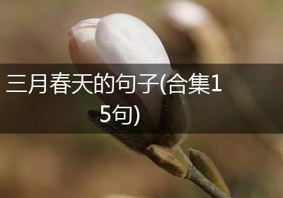 三月春天的句子(合集15句)