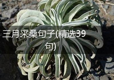 三月采桑句子(精选39句)