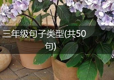 三年级句子类型(共50句)