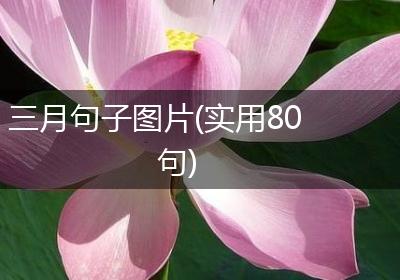 三月句子图片(实用80句)