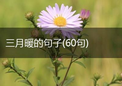 三月暖的句子(60句)