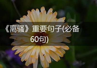 《离骚》重要句子(必备60句)