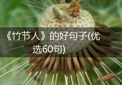 《竹节人》的好句子(优选60句)