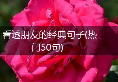 看透朋友的经典句子(热门50句)