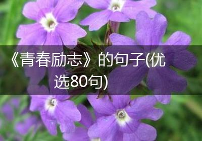 《青春励志》的句子(优选80句)