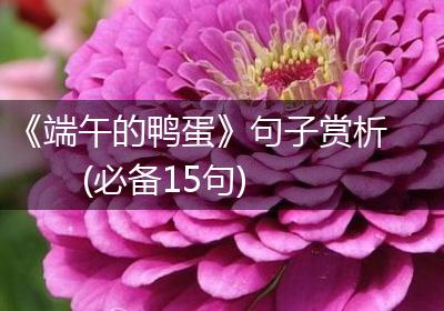 《端午的鸭蛋》句子赏析(必备15句)