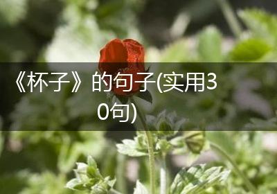 《杯子》的句子(实用30句)