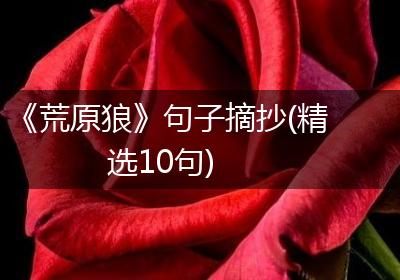 《荒原狼》句子摘抄(精选10句)
