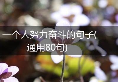 一个人努力奋斗的句子(通用80句)