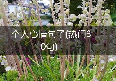 一个人心情句子(热门30句)