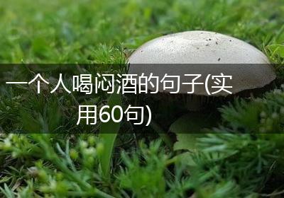 一个人喝闷酒的句子(实用60句)