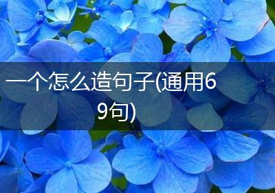 一个怎么造句子(通用69句)