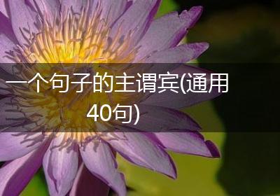 一个句子的主谓宾(通用40句)