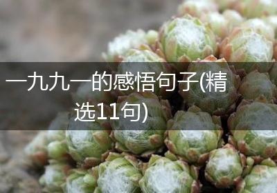 一九九一的感悟句子(精选11句)