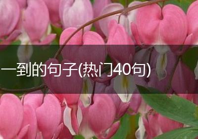 一到的句子(热门40句)