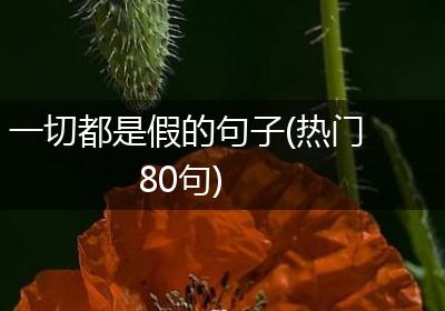 一切都是假的句子(热门80句)