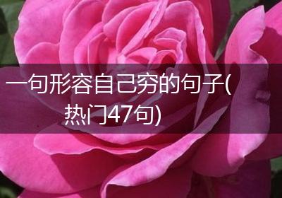 一句形容自己穷的句子(热门47句)