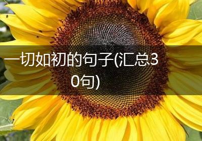 一切如初的句子(汇总30句)