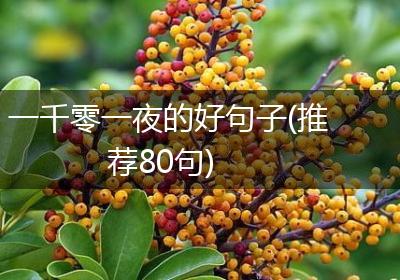 一千零一夜的好句子(推荐80句)