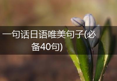 一句话日语唯美句子(必备40句)