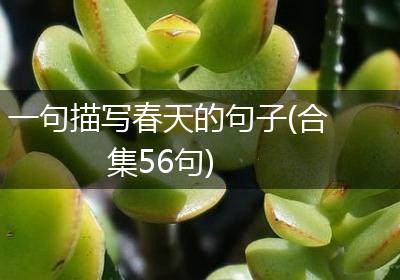 一句描写春天的句子(合集56句)