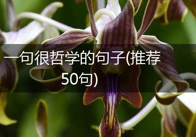 一句很哲学的句子(推荐50句)