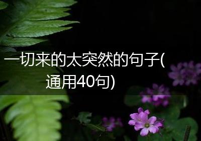 一切来的太突然的句子(通用40句)